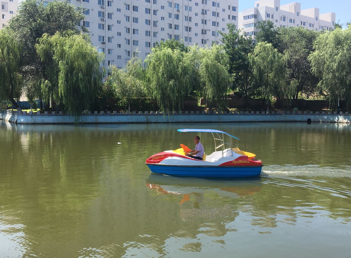 飞鱼电动戏水船 图2